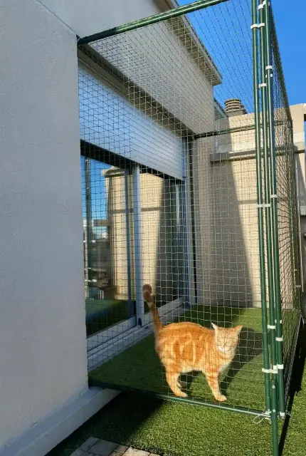 Une terrasse sécurisée avec une clôture en filet vert et de l'herbe synthétique, abritant un chat roux.