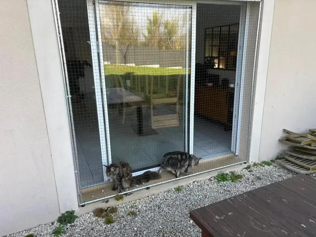 Une porte-fenêtre en verre blanc avec un filet de protection devant, un chat noir assis sur le seuil extérieur.