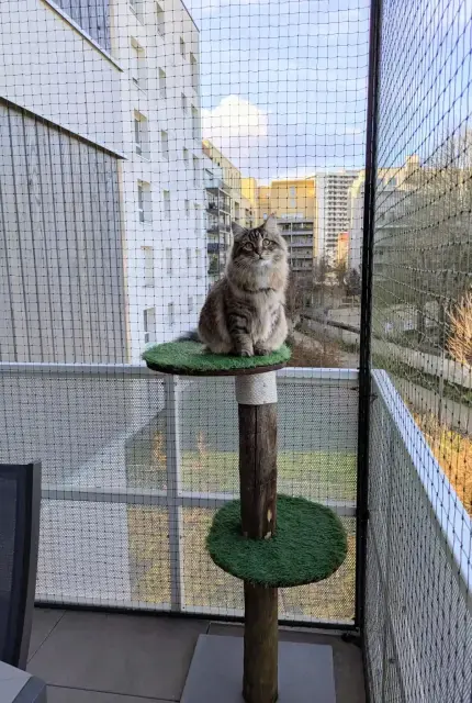 Un chat tigré assis sur un arbre à chat recouvert de gazon artificiel sur un balcon sécurisé par un filet.