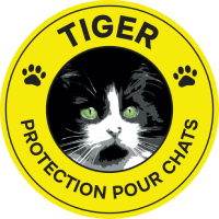 Tiger, protection pour chats