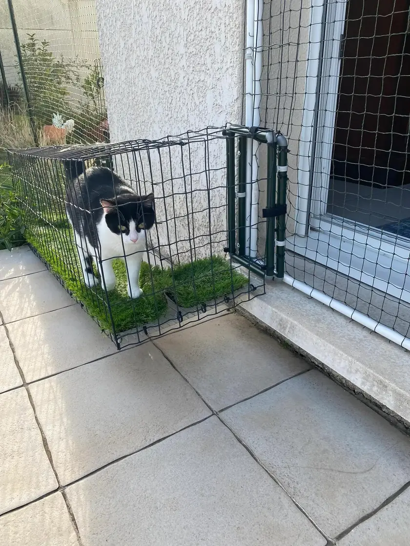 Tunnel pour chat sur une terrasse