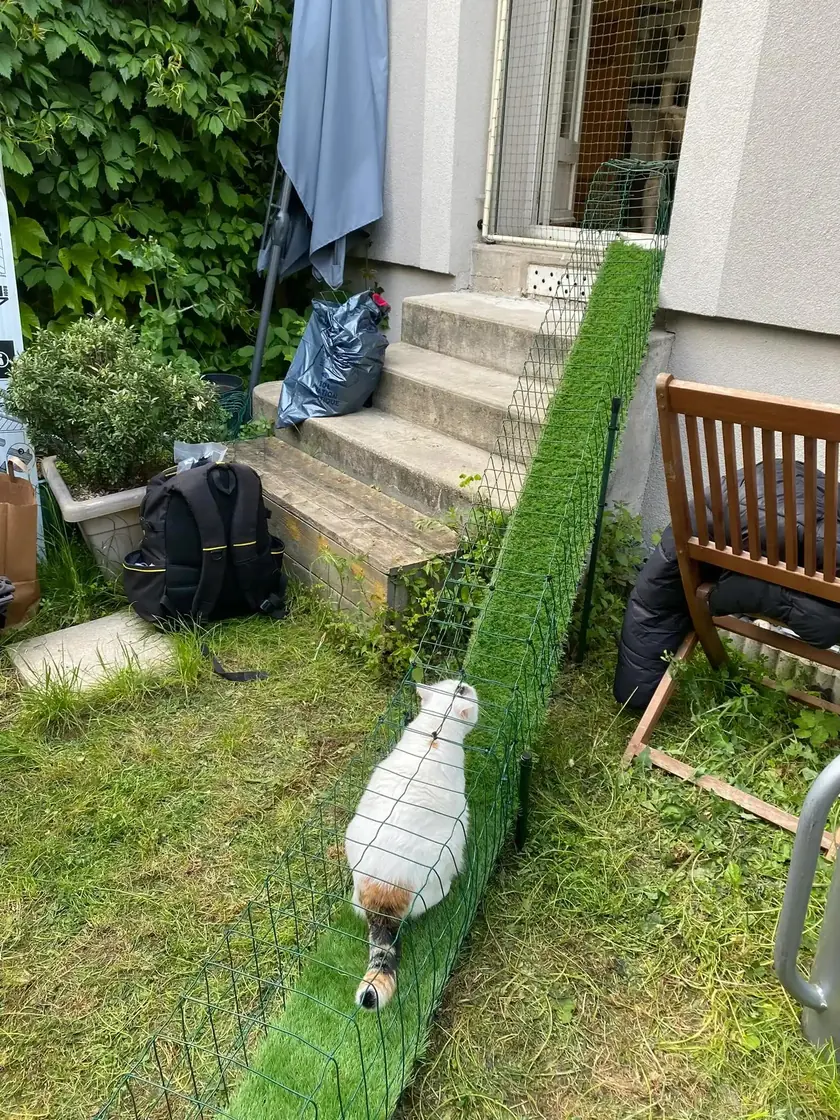 Tunnel pour chat le long d'un escalier extérieur