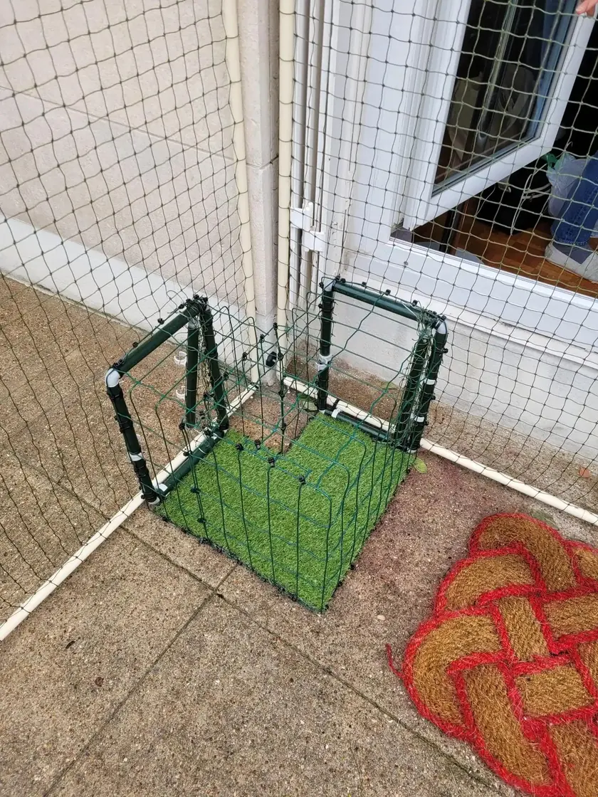 Tunnel pour chat devant une fenêtre